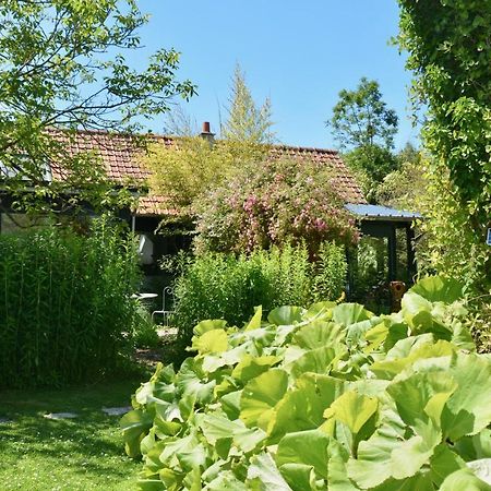 Chambres D'Hotes, Gites La Petite Madeleine La Madelaine-sous-Montreuil Zewnętrze zdjęcie