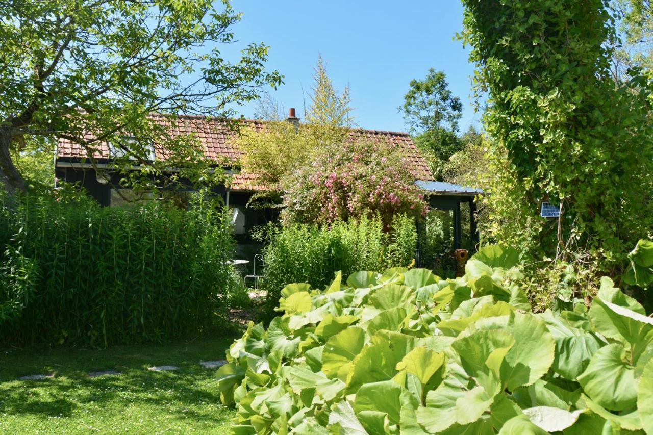 Chambres D'Hotes, Gites La Petite Madeleine La Madelaine-sous-Montreuil Zewnętrze zdjęcie